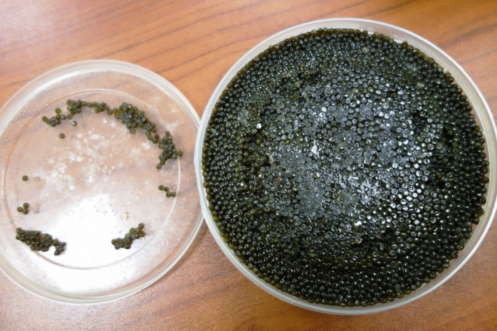 На 55 миллионов рублей найден тайник в России