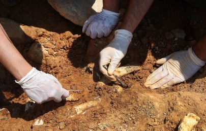 Археологи изучают кость мамонта возрастом 15 тысяч лет в СКО