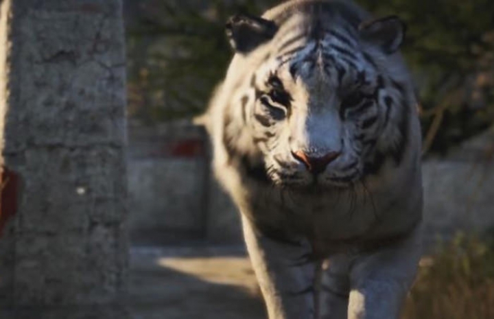 Far Cry 4 получил хорошие оценки в прессе