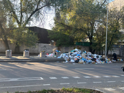 Штрафы за мусор – новые полномочия появились у акиматов