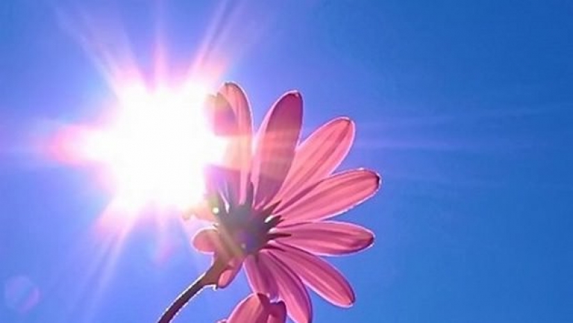 Алматы снова ожидает аномальная жара