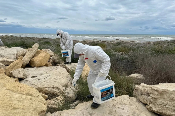 Детские площадки и набережную будут обрабатывать от блох и грызунов в Актау