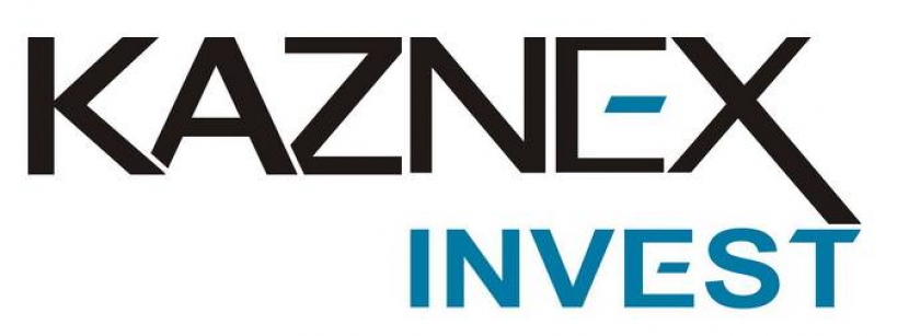 В Kaznex Invest рассказали о миллиардах, потраченных на создание СЭЗ