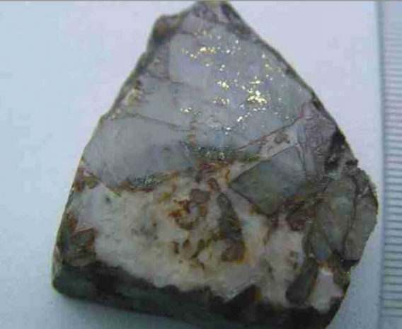 Астанчанин незаконно добыл 150 кг золотосодержащего концентрата