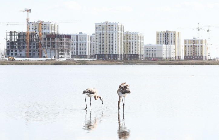 Мирный митинг в поддержку сохранения Малого Талдыколя пройдет в Нур-Султане