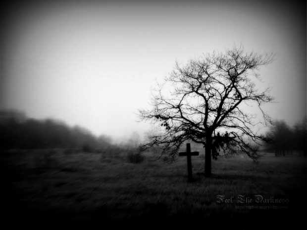 Жителя Павлодара из-за халатности похоронили как бомжа