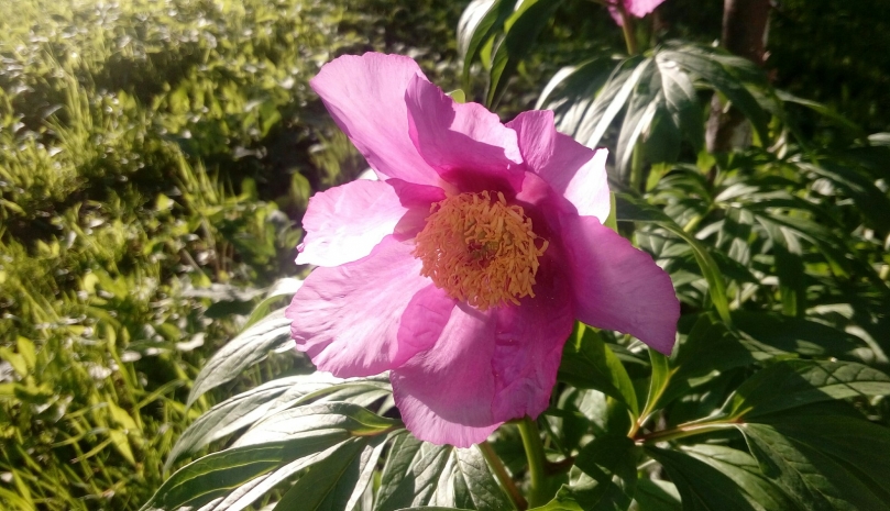 Восемь человек осуждены за уничтожение Марьина корня в Казахстане