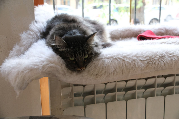 Счета за коммунальные услуги доводят жителей Киева до крайних мер