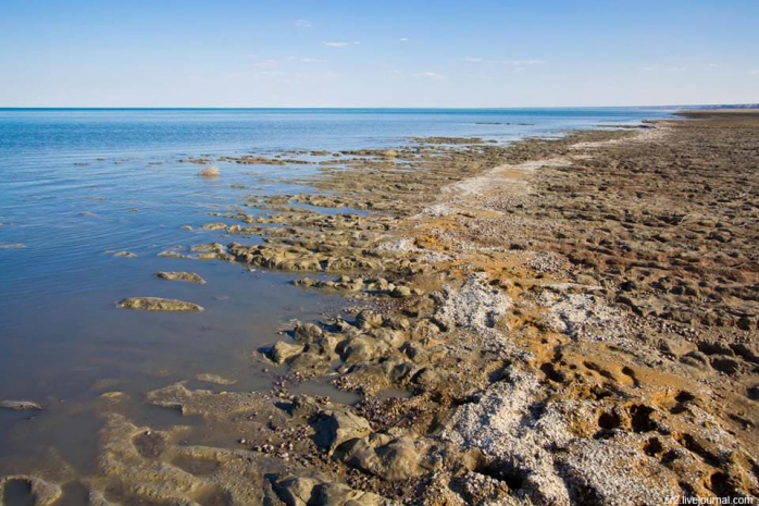 Рост уровня воды наблюдается в Северном Аральском море
