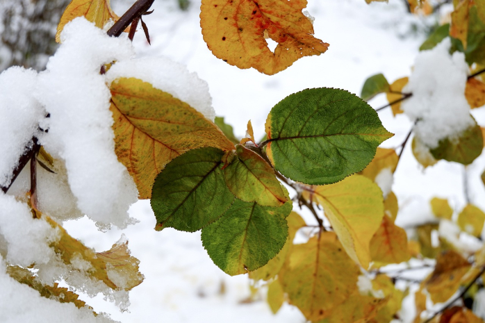 Похолодание ожидается в ряде регионов Казахстана