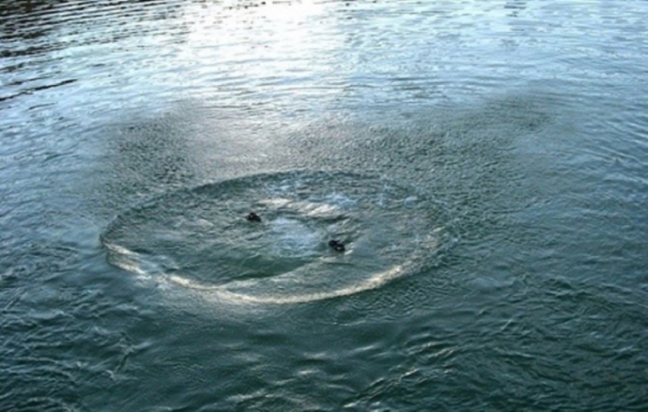 Двое мужчин утонули, пытаясь спасти девочку-подростка в ЗКО