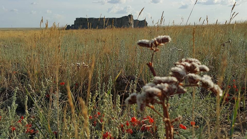 В Прииртышье под воду уходят останки известных султанов