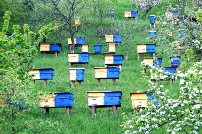 Народные приметы: время выставлять ульи