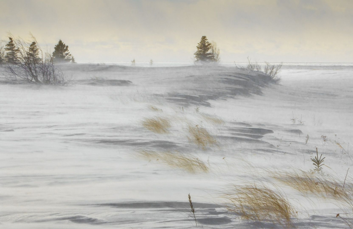 Сильный ветер ожидается в области Жетісу
