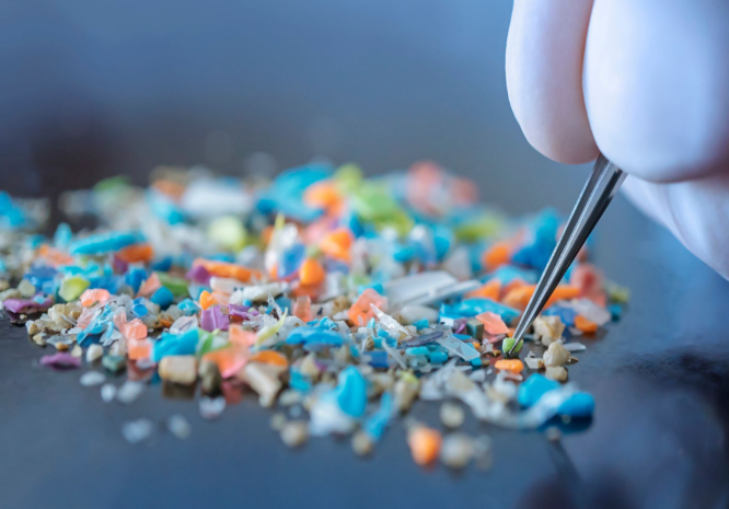 Метод очистки воды от микропластика изобрели ученые Бразилии