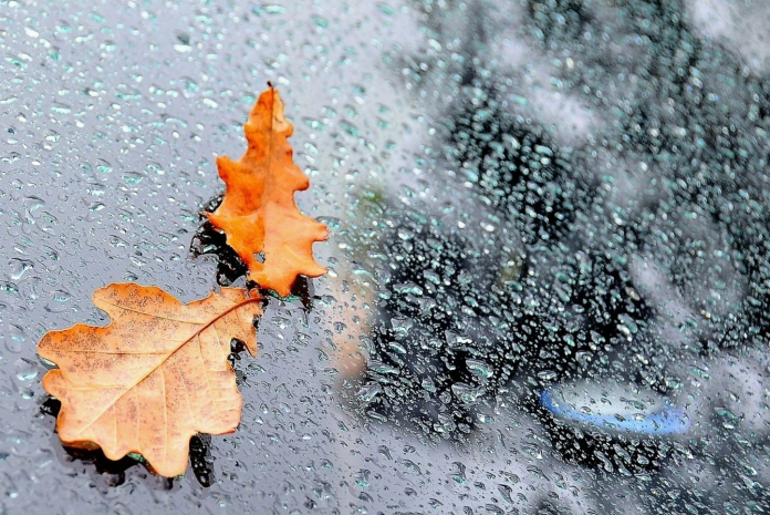 Дожди пройдут на западе и севере Казахстана