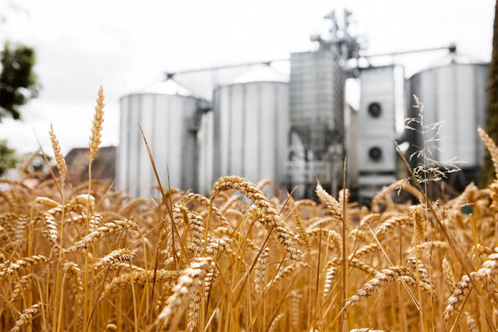 За хищение зерна осужден экс-глава представительств ТОО «Астық қоймалары»