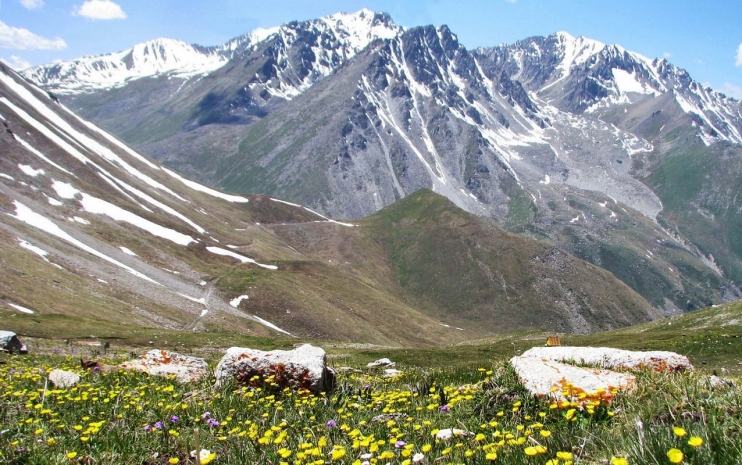 Две волны похолодания в апреле прогнозируют синоптики в Казахстане