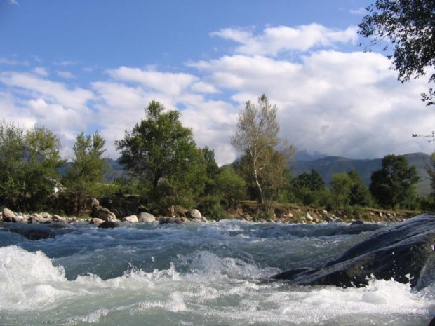 Одиннадцатиклассник спас прыгнувшего в реку с моста мужчину в Талгаре