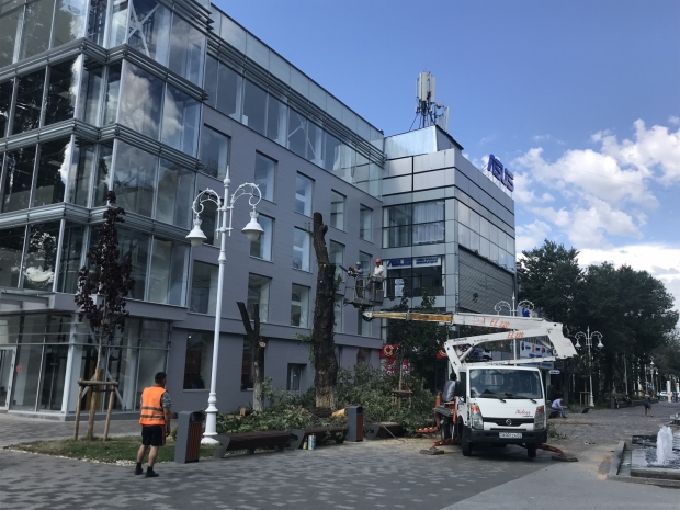 Полиция предупредила музыкантов, выступающих на алматинском Арбате