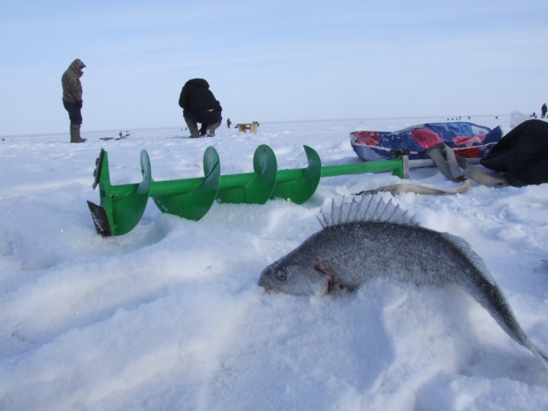 Туристы из Китая готовы хлынуть на озеро Алаколь