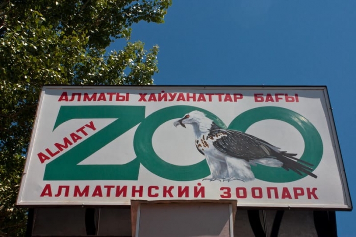 Спецназ взял шефство над тиграми в Алматинском зоопарке