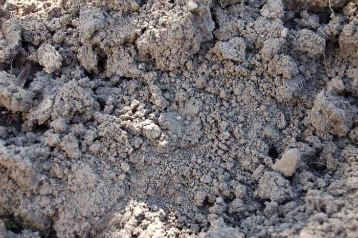 Добровольно согласились работать допоздна мужчины, погибшие в Шымкенте