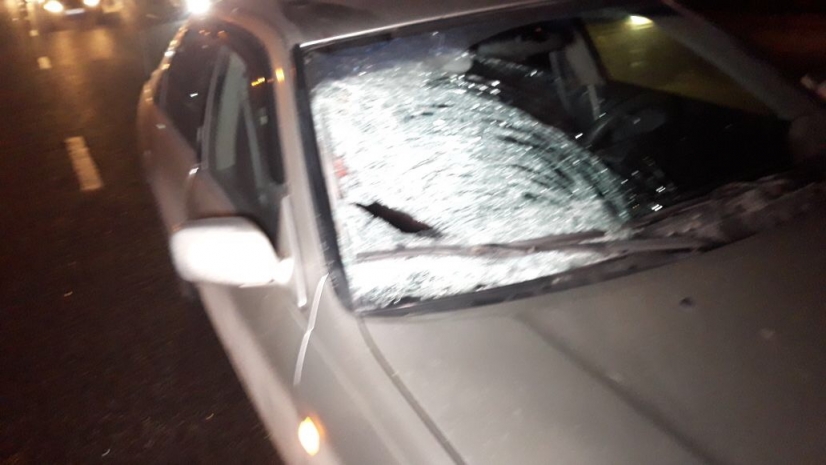 За смертельный наезд на троих пешеходов житель Житикары осужден на семь лет