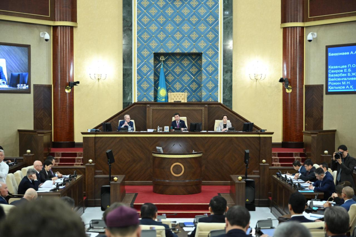 Какие замечания озвучили парламентарии к правительству Казахстана