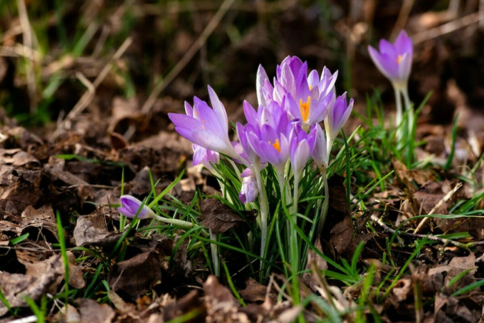 Погода без осадков ожидается в южных областях Казахстана