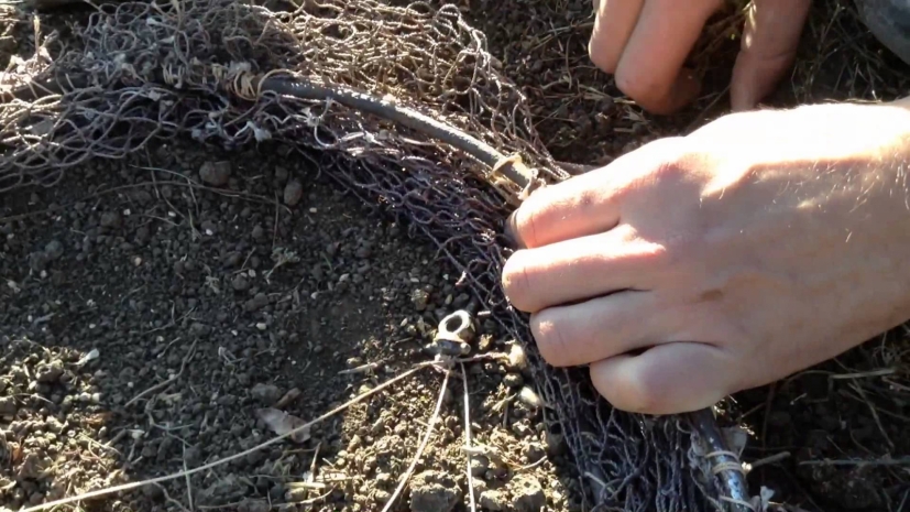 В Алматинской области задержали двух мужчин с незаконными ловушками на хищных птиц