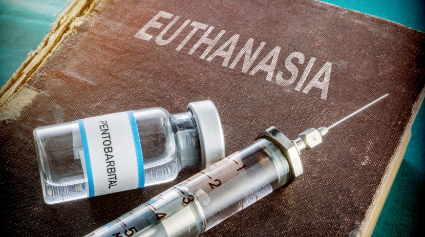 Закон об эвтаназии приняли в Великобритании