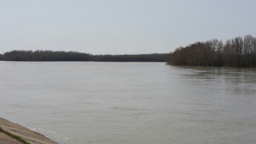 Тело пропавшей павлодарки нашли в Иртыше спустя три года