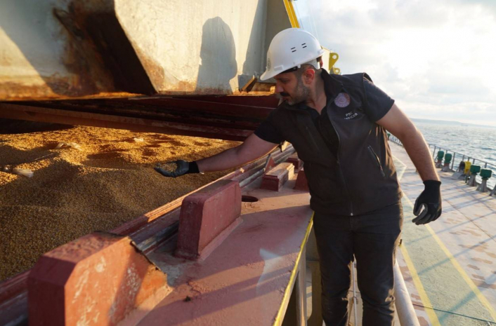 В МСХ планируют субсидировать транспортные затраты при реализации зерна