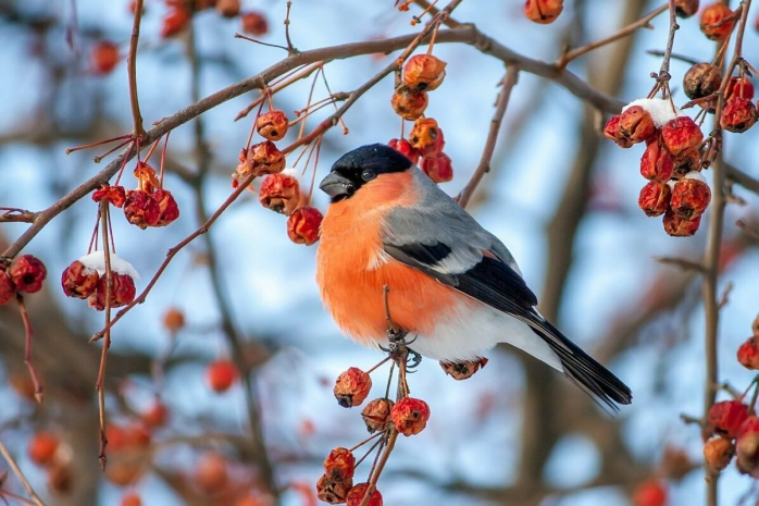 Погода без осадков сохранится на юго-востоке Казахстане