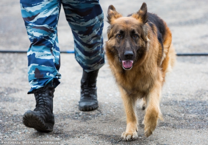 «Желтый» уровень террористической опасности введен в четырех городах Казахстана