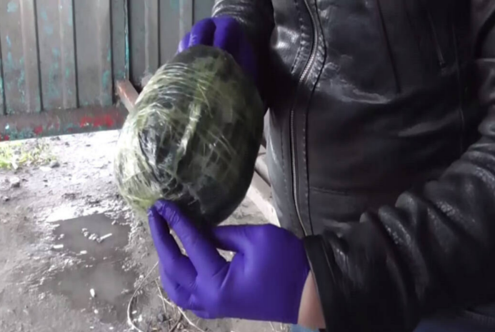 Самую крупную с начала года партию «синтетики» обнаружили в СКО