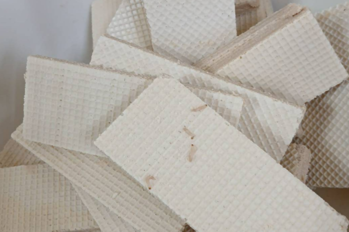 Черви в вафлях: ситуацию прокомментировали в отделе образования Костаная