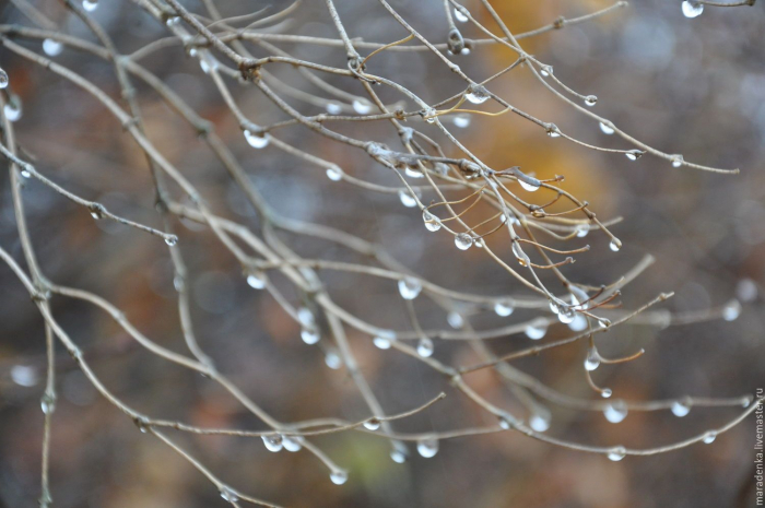 Погода без осадков ожидается на западе и севере Казахстана