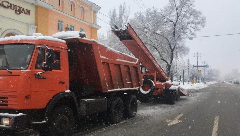 Алматинцев попросили не парковать авто вблизи деревьев в период снегопада
