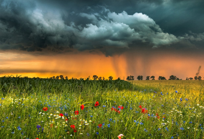 Проливные дожди пройдут на северо-западе Казахстана