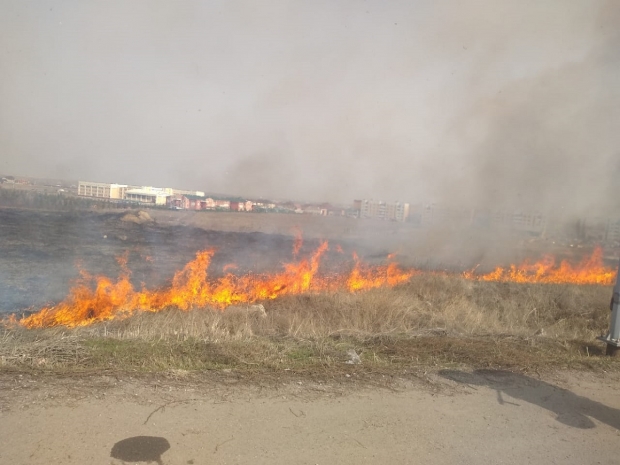 Огонь охватил полтора гектара в Алматы