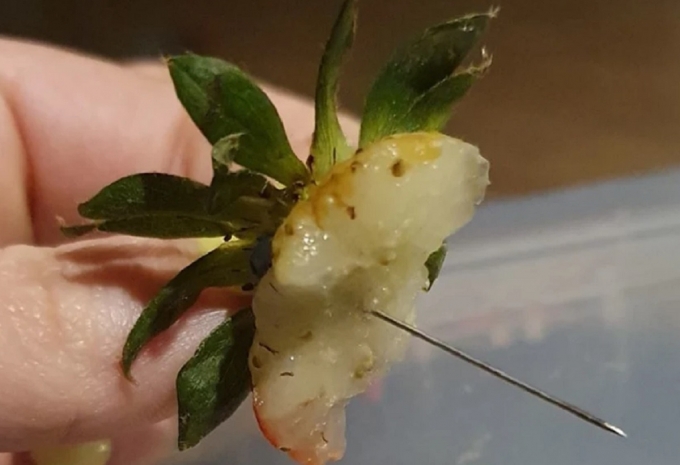 Иглы в клубнике вновь находят в Австралии