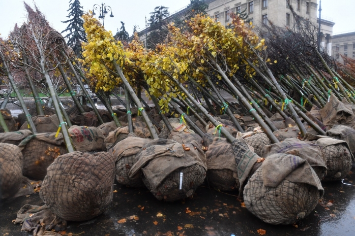 Миллион деревьев предложил высадить Сагинтаев в Алматы