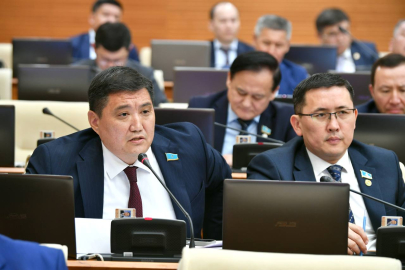 Минздрав не будет участвовать в судебном процессе между частными ТОО и депутатом Базарбеком