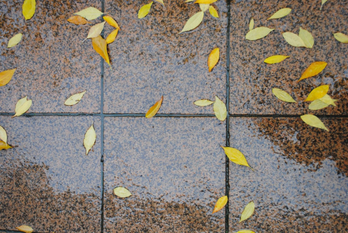 Дожди пройдут на севере Казахстана