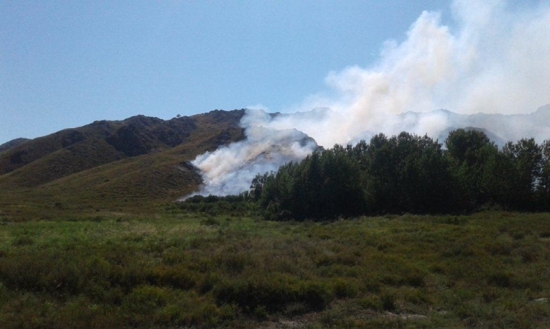 В двух регионах страны ликвидируют степные пожары