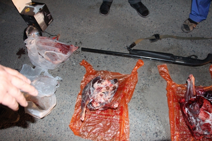 Мужчина с тушей джейрана задержан в Алматинской области