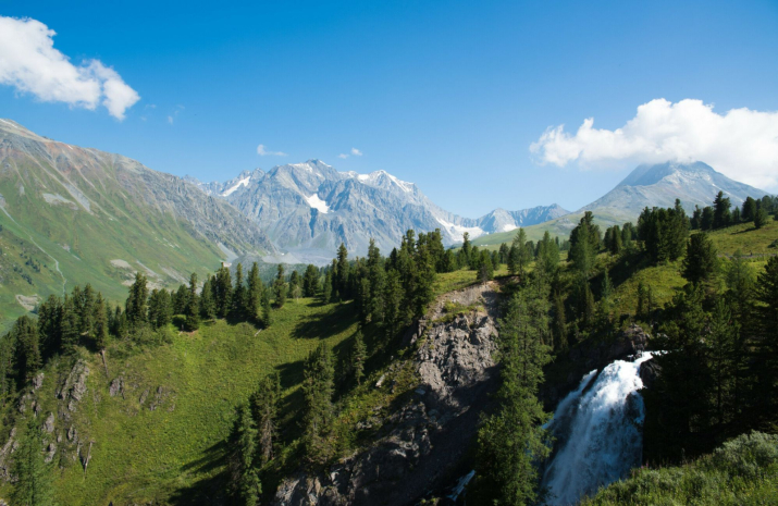 Доступ в лесной фонд ограничен на востоке Казахстана