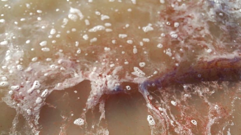 Павлодарцы просят спасти соленые озера от криминалитета